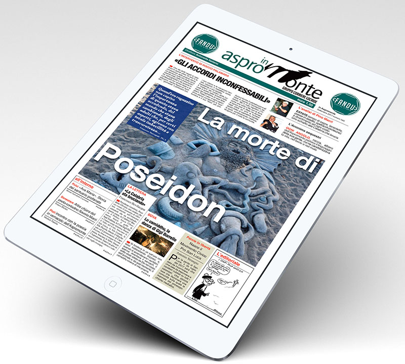 iPad n40