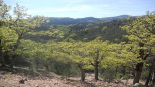 Parco Nazionale dell’Aspromonte. Visita di un ispettore designato dall’Unesco, mercoledì 23 settembre, a Gambarie
